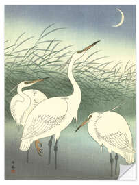 Muursticker Heron in shallow water, 1934