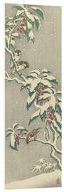 Foam board print Sparrows on a snowy currant bush, ca. 1900