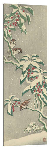 Gallery print Sparrows on a snowy currant bush, ca. 1900