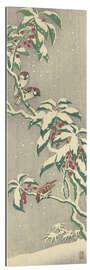 Gallery print Sparrows on a snowy currant bush, ca. 1900