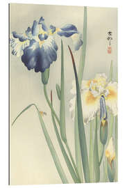 Gallery Print Schwertlilien, ca. 1900