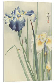 Magnettafel Schwertlilien, ca. 1900