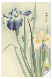 Wandsticker Schwertlilien, ca. 1900