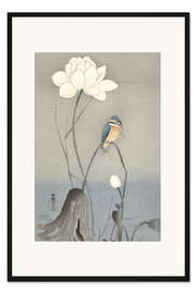 Gerahmter Kunstdruck Eisvogel mit Lotusblüte, ca. 1900