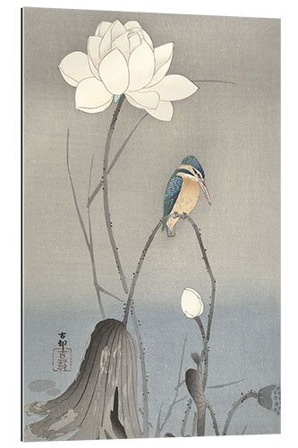 Gallery Print Eisvogel mit Lotusblüte, ca. 1900