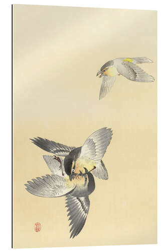 Gallery print Two Fighting Birds, ca. 1900