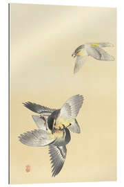 Gallery print Two Fighting Birds, ca. 1900