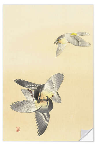 Selvklebende plakat Two Fighting Birds, ca. 1900