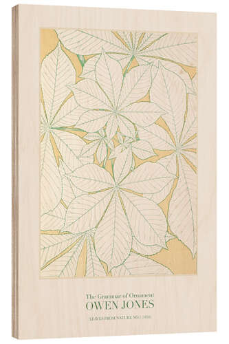 Trebilde Leaves from Nature No.1 (1856)