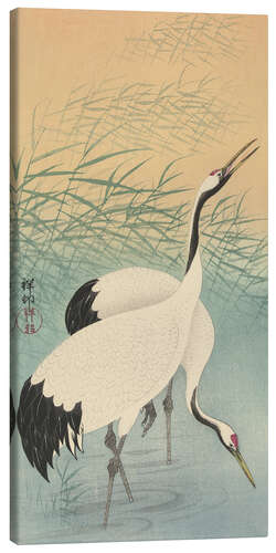 Canvas print Two cranes, ca. 1925