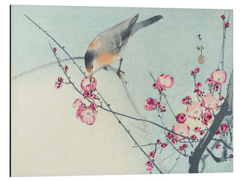 Tableau en aluminium Oiseau chanteur sur une branche en fleurs, vers 1900