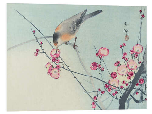 PVC-taulu Songbird on Blossom Branch, ca. 1900