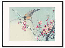 Gerahmter Kunstdruck Singvogel auf Blütenzweig, ca. 1900 - Ohara Koson