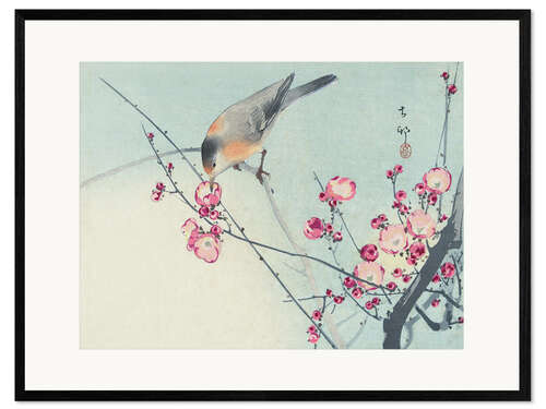 Gerahmter Kunstdruck Singvogel auf Blütenzweig, ca. 1900