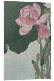 Foam board print Blooming lotus flowers, ca. 1920