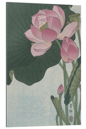 Galleriprint Blooming lotus flowers, ca. 1920