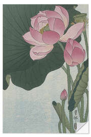 Sticker mural Fleurs de lotus en fleurs, vers 1920