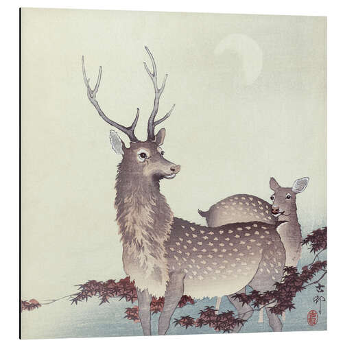 Aluminium print Two deer, ca. 1900