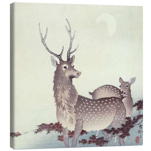 Canvas print Two deer, ca. 1900