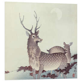 Foam board print Two deer, ca. 1900