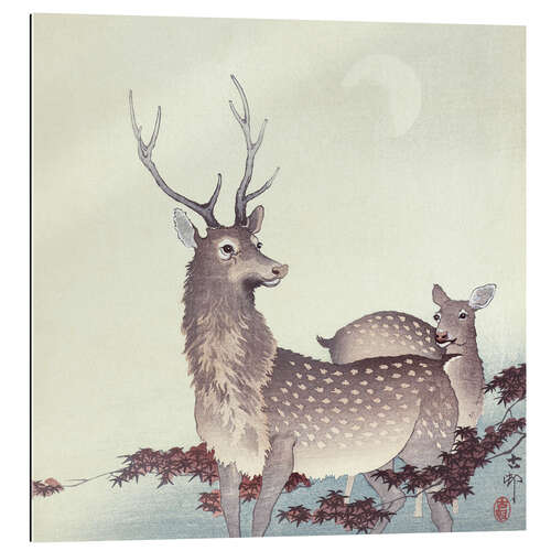 Gallery print Two deer, ca. 1900