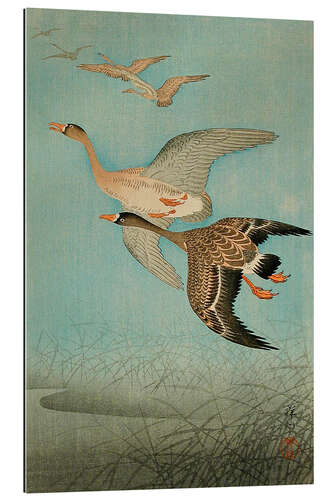 Gallery print Flying geese, 1926