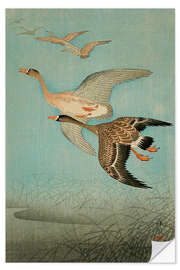 Selvklebende plakat Flying Geese, 1926