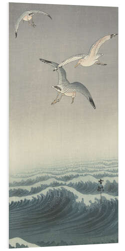 Foam board print Three Seagulls, ca. 1900