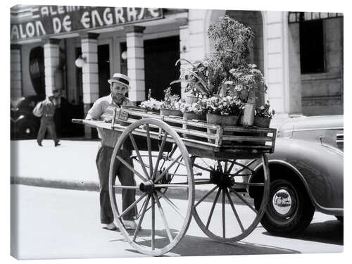 Canvas print Flower seller, Havana, Cuba, 1930s