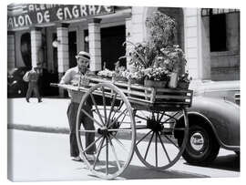 Canvastavla  Flower seller, Havana, Cuba, 1930s