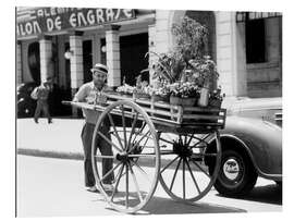 Gallery print Flower seller, Havana, Cuba, 1930s