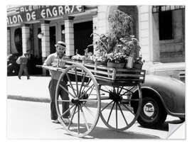 Muursticker Flower seller, Havana, Cuba, 1930s