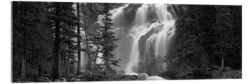 Akrylglastavla Waterfall in a forest