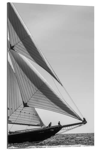 Gallery print Gloucester Schooner Festival, Cape Ann, USA II