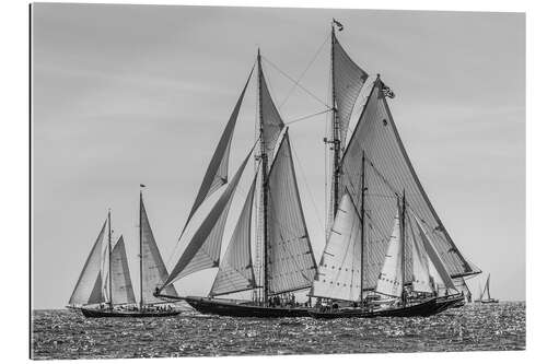 Gallery print Gloucester Schooner Festival, Cape Ann, USA III