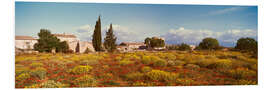 Foam board print Mediterranean landscape in Mallorca