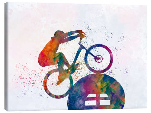 Tableau sur toile BMX sports IX