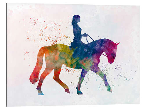 Aluminium print Equestrian sports VI