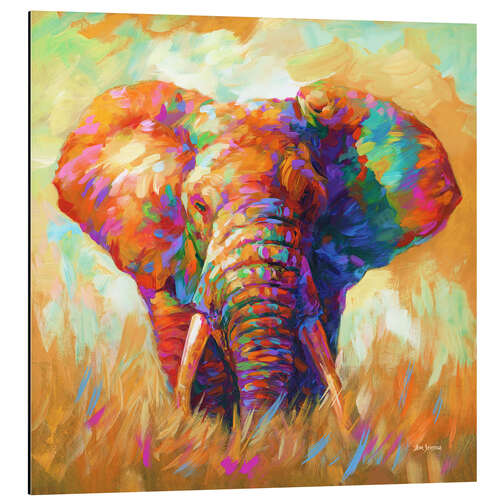 Aluminium print Colourful Elephant