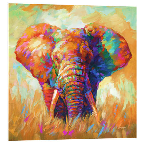 Tableau en plexi-alu Colourful Elephant