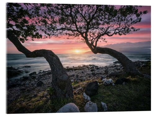 Acrylic print Maui Sunset