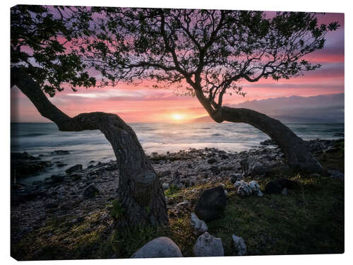 Canvas print Maui Sunset