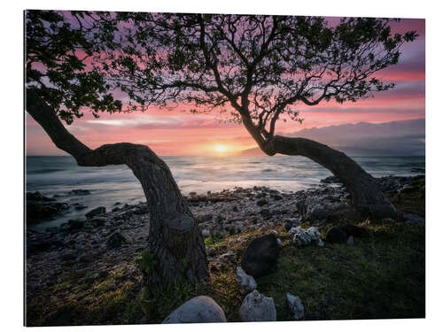 Gallery print Maui Sunset