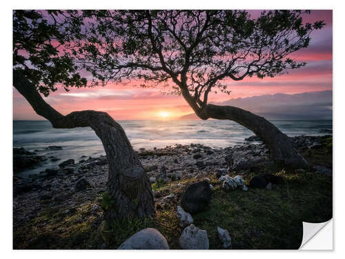 Vinilo para la pared Maui Sunset