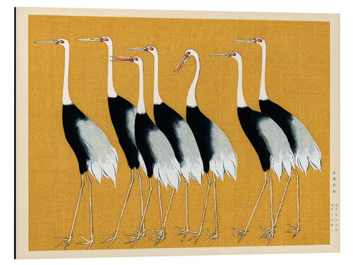 Aluminium print Flock of Japanese Red Crown Cranes