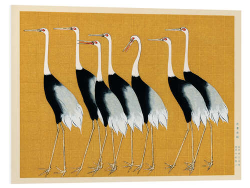 Cuadro de PVC Flock of Japanese Red Crown Cranes