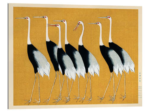 Gallery print Flock of Japanese Red Crown Cranes