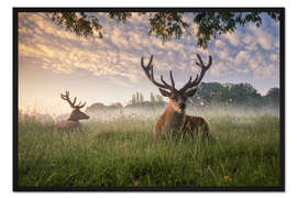 Gerahmter Kunstdruck Hirsche im Gras