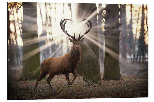 Aluminium print Mystic stag