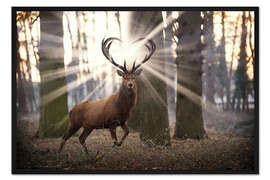 Gerahmter Kunstdruck Mystischer Hirsch